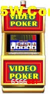 Experiência VIP 6566Bet